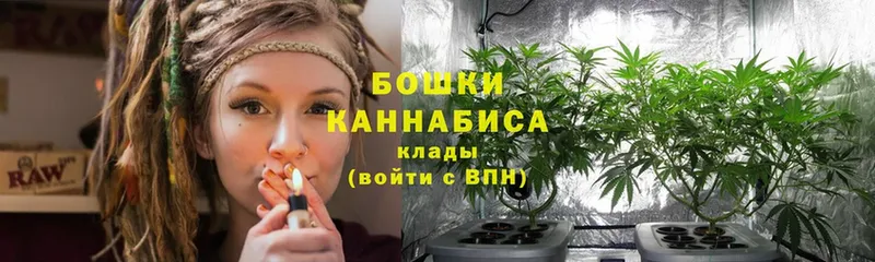 Марихуана LSD WEED  где купить наркоту  Андреаполь 